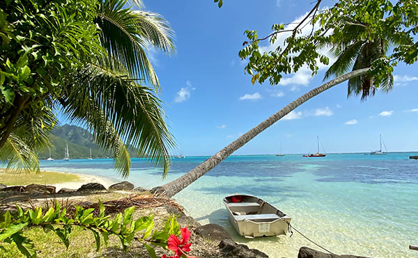Plage privée CocoBulle à Moorea Plage privée CocoBulle à Moorea