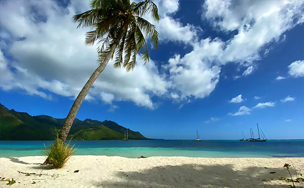 Plage privée CocoBulle à Moorea Plage privée CocoBulle à Moorea