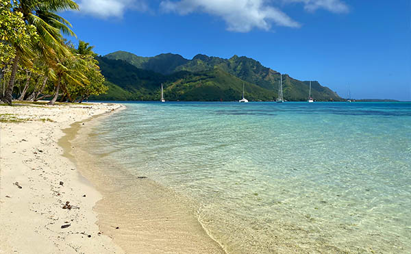 Plage privée CocoBulle à Moorea Plage privée CocoBulle à Moorea