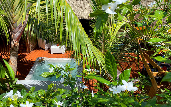 Coco Bulle & Spa Bungalow Moorea